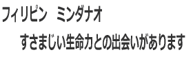 フィリピン ミンダナオ すさまじい生命力との出会いがあります