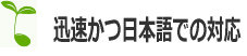v{ł̑Ή